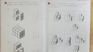 【小２】玉井式「図形の極み」体験資料を請求、中学受験に向け解いた感想